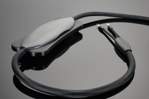 Transparent XL Generation 6